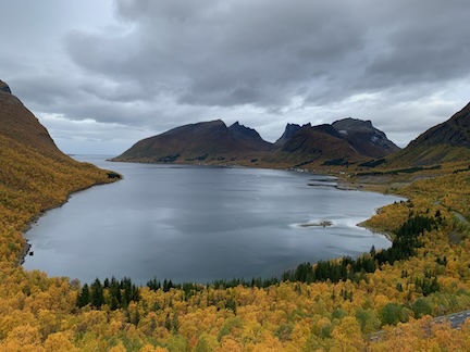 Senja1