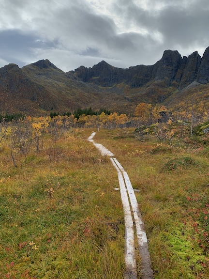 Senja2